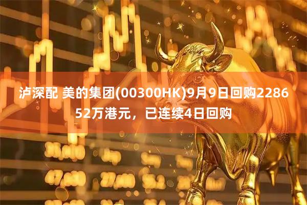 泸深配 美的集团(00300HK)9月9日回购228652万港元，已连续4日回购