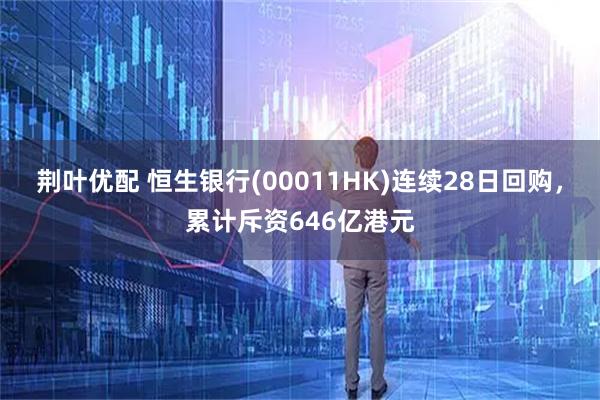 荆叶优配 恒生银行(00011HK)连续28日回购，累计斥资646亿港元